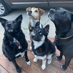 Meet your Posher, Ellen